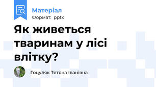 Як живеться тваринам у лісі влітку?