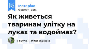 Як живеться тваринам улітку на луках та водоймах?