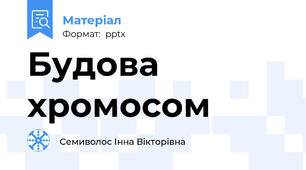 Будова хромосом