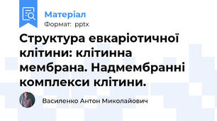 Структура евкаріотичної клітини: клітинна  мембрана. Надмембранні комплекси клітини.