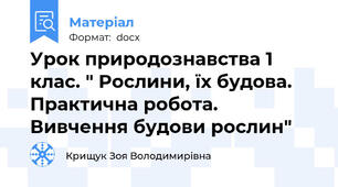 Урок природознавства 1 клас. " Рослини, їх будова. Практична робота. Вивчення будови рослин"