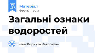 Загальні ознаки водоростей
