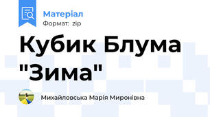 Кубик Блума "Зима"