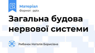 Загальна будова нервової системи