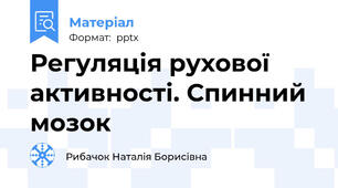 Регуляція рухової активності. Спинний мозок