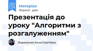 Презентація до уроку "Алгоритми з розгалуженням"
