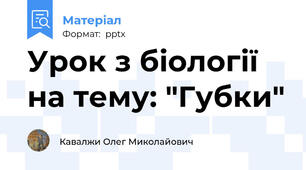 Урок з біології на тему: "Губки"