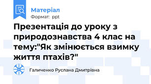 Презентація до уроку з природознавства 4 клас на тему:"Як змінюється взимку життя птахів?"