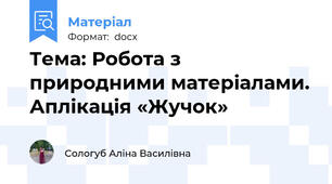 Тема: Робота з природними матеріалами. Аплікація «Жучок»