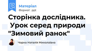 Сторінка дослідника.  Урок серед природи "Зимовий ранок"