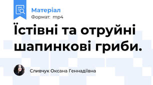 Їстівні та отруйні шапинкові гриби.