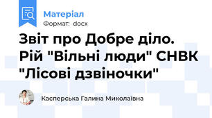 Звіт про Добре діло. Рій "Вільні люди" СНВК "Лісові дзвіночки"