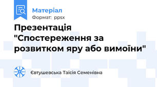 Презентація "Спостереження за розвитком яру або вимоїни"
