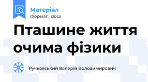 Пташине життя очима фізики