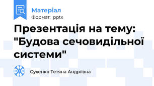 Презентація на тему: "Будова сечовидільної системи"