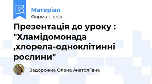 Презентація до уроку : "Хламідомонада ,хлорела-одноклітинні рослини"