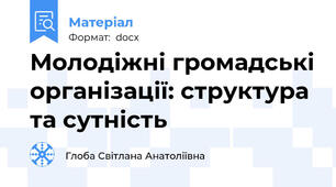 Молодіжні громадські організації: структура та сутність