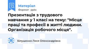 Презентація з трудового навчання у 1 класі на тему: "Місце праці та професії в житті людини. Організація робочого місця".