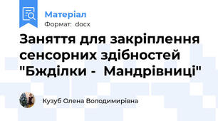 Заняття для закріплення сенсорних здібностей "Бжділки -  Мандрівниці"