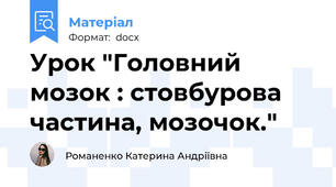 Урок "Головний мозок : стовбурова частина, мозочок."