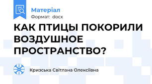 КАК ПТИЦЫ ПОКОРИЛИ ВОЗДУШНОЕ ПРОСТРАНСТВО?