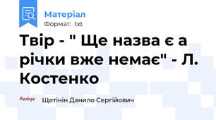 Твір - " Ще назва є а річки вже немає" - Л. Костенко