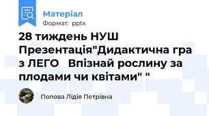28 тиждень НУШ Презентація"Дидактична гра  з ЛЕГО   Впізнай рослину за плодами чи квітами" "