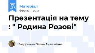 Презентація на тему : " Родина Розові"
