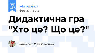 Дидактична гра "Хто це? Що це?"
