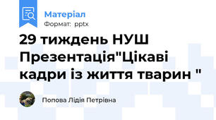 29 тиждень НУШ Презентація"Цікаві кадри із життя тварин "