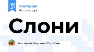 Слони