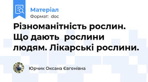 Різноманітність рослин. Що дають  рослини людям. Лікарські рослини.