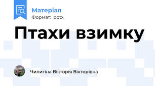 Птахи взимку