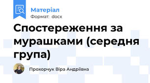 Спостереження за мурашками (середня група)