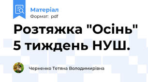 Розтяжка "Осінь" 5 тиждень НУШ.
