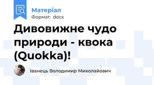Дивовижне чудо природи - квока (Quokka)!