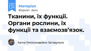 Тканини, їх функції. Органи рослини, їх функції та взаємозв’язок.