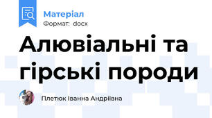 Алювіальні та гірські породи