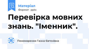 Перевірка мовних знань. "Іменник".