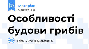 Особливості будови грибів