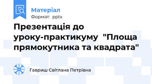 Презентація до уроку-практикуму  "Площа прямокутника та квадрата"