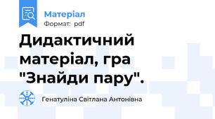 Дидактичний матеріал, гра "Знайди пару".