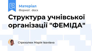 Структура учнівської організації "ФЕМІДА"