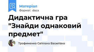 Дидактична гра "Знайди однаковий предмет"