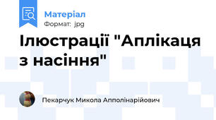 Ілюстрації "Аплікаця з насіння"