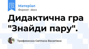 Дидактична гра "Знайди пару".