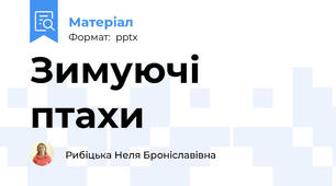 Зимуючі птахи