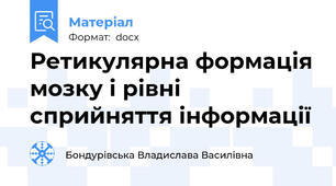 Ретикулярна формація мозку і рівні сприйняття інформації