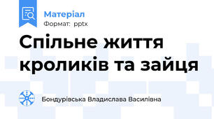 Спільне життя кроликів та зайця