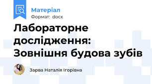 Лабораторне дослідження: Зовнішня будова зубів